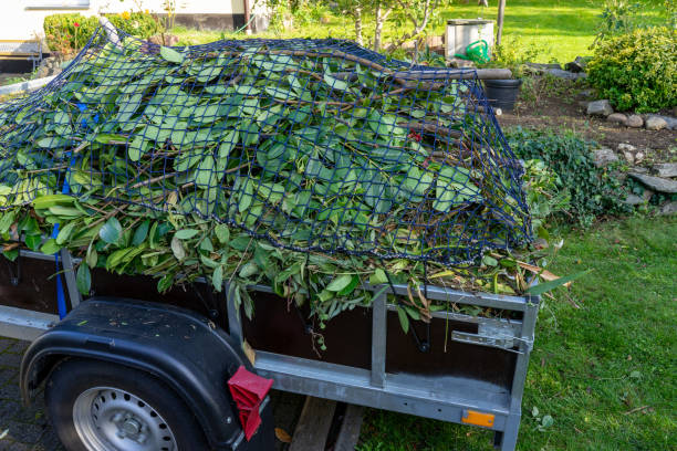 Best Carpet Removal and Disposal  in Espy, PA